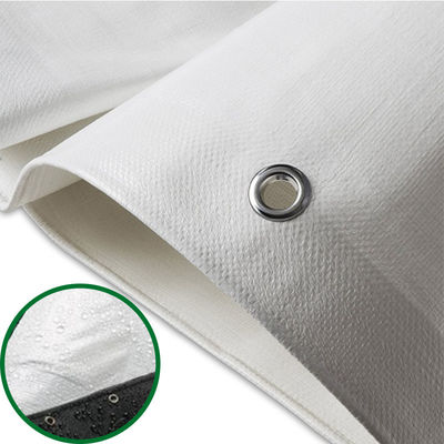Teloni in PE leggeri 160 g/m² - 240 g/m² Impermeabili e resistenti ai raggi UV, rotoli di teloni in PE, doppio verde