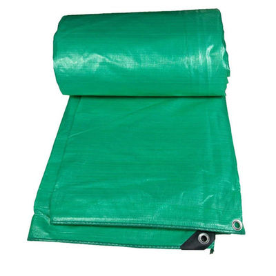 Verde 5OZ 6OZ Blu-argento Economy Tarpa PE Tarpaulin Tessuto impermeabile Materiale tarpa Piastra di plastica