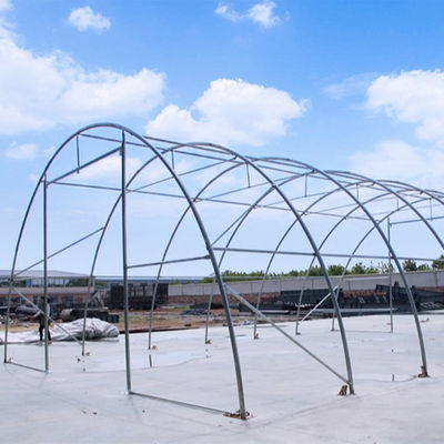 Serre agricole per esterni Litong, giardino, piante, tunnel trasparente, magazzino, telone in PVC