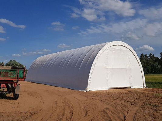 Serre agricole per esterni Litong, giardino, piante, tunnel trasparente, magazzino, telone in PVC