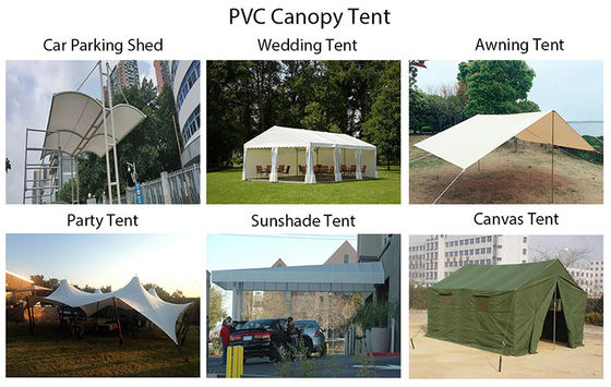 Serre agricole per esterni Litong, giardino, piante, tunnel trasparente, magazzino, telone in PVC