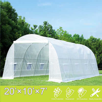 Serre Agricole Telone in PVC Giardinaggio Pianta Trasparente Telone Produttore Tunnel in Polietilene